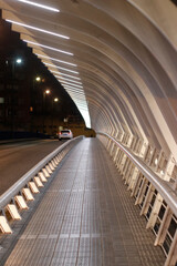 Wall Mural - Bridge in the suburbs of Bilbao