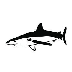 Wall Mural - REQUIN 1