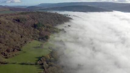 Wall Mural - Aerial view flying over mist and fog around a small forest and rural farmland (Wales, UK)