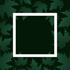 Poster - leaf background with a white square in the middle of it