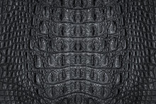 Black Crocodile Leather Texture For Background