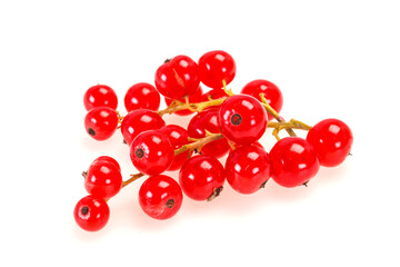 Sweet tasty fresh Red currant