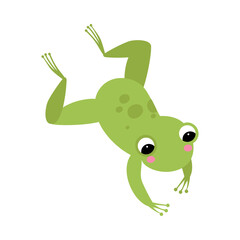 Poster - Cute Green Frog with Protruding Eyes Jumping Vector Illustration