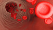 Illustration eines Blutgefäßes von innen mit roten Blutkörperchen