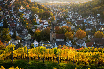 Wall Mural - Beautiful sunset view of the Stuttgart suburb Uhlbach, Germany, which is surrounded by vineyards during autumn. A historic church is in the center of the village.