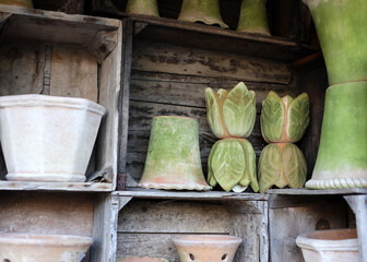 Wall Mural - flower pots 