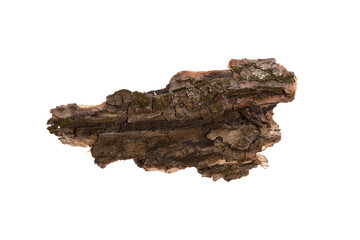Poster - the bark of the tree is isolated on a white background. wooden texture