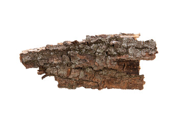 Poster - the bark of the tree is isolated on a white background. wooden texture