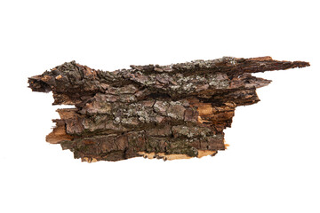 Poster - the bark of the tree is isolated on a white background. wooden texture
