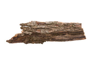Poster - the bark of the tree is isolated on a white background. wooden texture