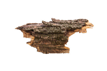 Poster - the bark of the tree is isolated on a white background. wooden texture