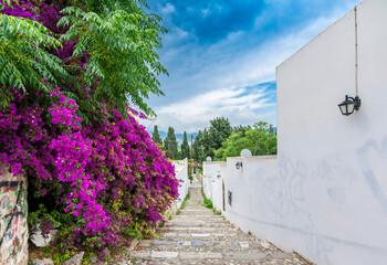  Beautiful street view in Kos Island. Kos Island is populer tourist destination in Greece.