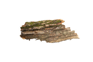 Poster - the bark of the tree is isolated on a white background. wooden texture