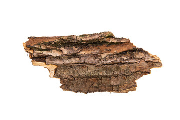 Poster - the bark of the tree is isolated on a white background. wooden texture