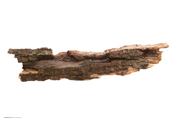 Poster - the bark of the tree is isolated on a white background. wooden texture