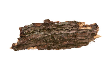 Poster - the bark of the tree is isolated on a white background. wooden texture