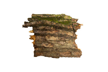 Poster - the bark of the tree is isolated on a white background. wooden texture