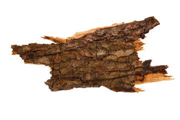 Aufkleber - the bark of the tree is isolated on a white background. wooden texture