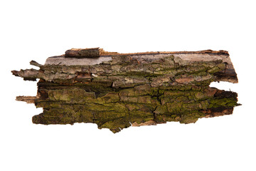 Poster - the bark of the tree is isolated on a white background. wooden texture