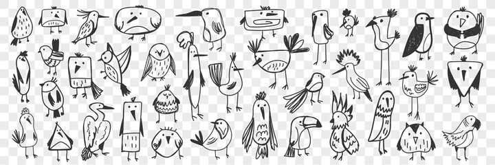 Wall Mural - Birds doodle set. Collection of funny hand drawn various kinds of cute wild birds isolated on transparent background. Illustration of owl titmouse penguin pelican toucan parrot for kids