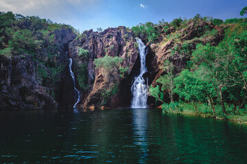 Wall Mural - a waterfall in a forest