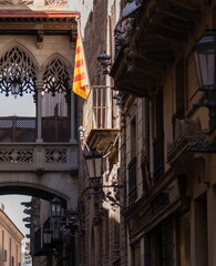 Wall Mural - Arch in the Gothic Quarter in Barcelona, ​​public places.