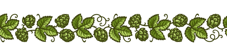 Wall Mural - Hop branches with cones and leaves seamless border. Brewery, beer festival, bar, design elements in vintage engraving style. Hand drawn vector illustration isolated on white background.