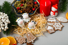 Adorable Toy Cows Next To Christmas Decorations. Miniature Figures Of Ginger Cookies With Icing, Straw, Spruce Branches, Holly Berries And Other New Year Decorations