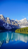 Fototapeta Góry - Reflection of glacier mountains and forest in Moraine Lake - Twenty Dollar bill view