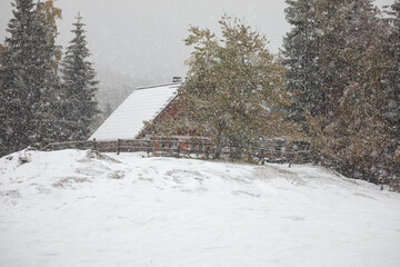 Wall Mural - snowstorm in mountain village