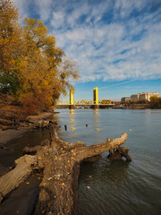 Poster - The golden tower bridge in Sacramento 