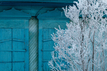 Winter windows of an old wooden house. Blue windows with shutters and patterned platbands made in the Russian style and tree branches covered with white frost.