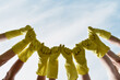 Teamwork and collaboration. Group of volunteers or eco activists wearing yellow protective rubber gloves raising hands against blue sky
