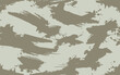 seamless camouflage repeat desert pattern