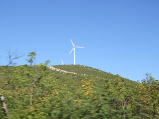 wind turbine in the field