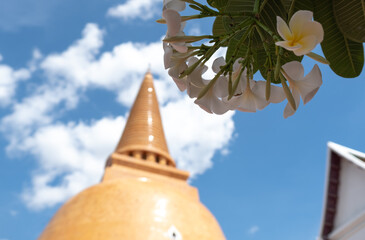 NAKORNPATHOM Prapathom chedi temple, The biggest pagoda in Nakornpathom, Thailand. The most famous destination of nakornpathom.