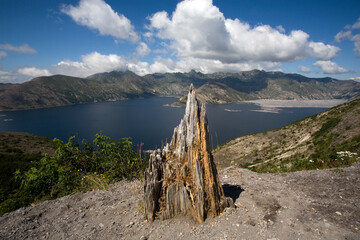 landscape with lake and mountains