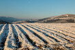 Plowed field after harvest covered with snow