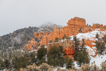 Sticker - Scenic Red Canyon Utah Landscape in Winter