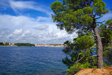 Poster - Golden Cape Forest Park, Rovinj (Rovigno) - Istria, Croatia