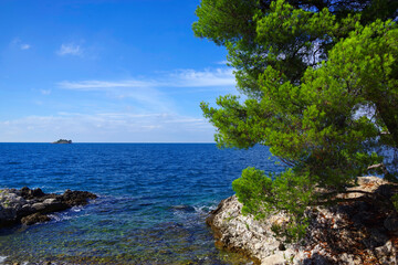 Poster - Golden Cape Forest Park, Rovinj (Rovigno) - Istria, Croatia