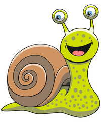 Schnecke, Illustration