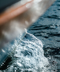 Wall Mural - Sailing the oceans in south Norway