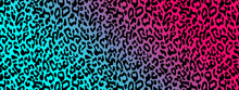 Abstract Background Illustration Of Black, Pink And Purple Animal Print 