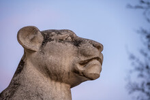 Stone Head Of A Lioness Against The Blue Sky In The Park