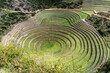 Agriculture terraces from the Inka peoples. Circles of Moray in Peru. 