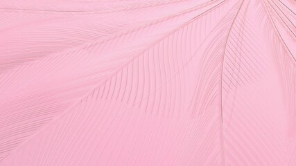 Poster - 4k abstract background. growing lines. colorful motion wallpaper. black backdrop. pink color. valent