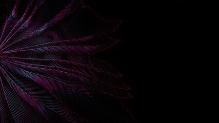 Poster - 4k abstract background. growing lines. colorful motion wallpaper. black backdrop. blue and red color