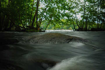 river in the woods