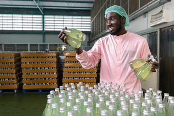 Wall Mural - African male factory worker picking up and holding green juice bottle or basil seed drink, raised up arm for checking quality in beverage factory